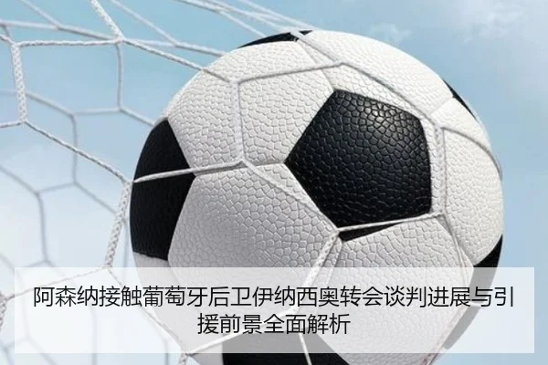 阿森纳接触葡萄牙后卫伊纳西奥转会谈判进展与引援前景全面解析