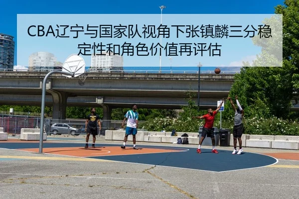 CBA辽宁与国家队视角下张镇麟三分稳定性和角色价值再评估