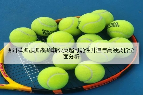 那不勒斯奥斯梅恩转会英超可能性升温与高额要价全面分析